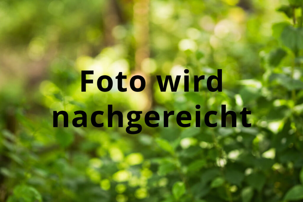 Foto wird nachgereicht